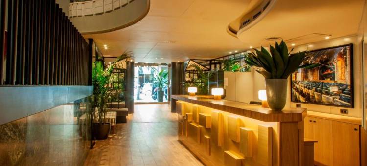 时髦&精简天鹅绒住宿(Chic & Basic Velvet)图片