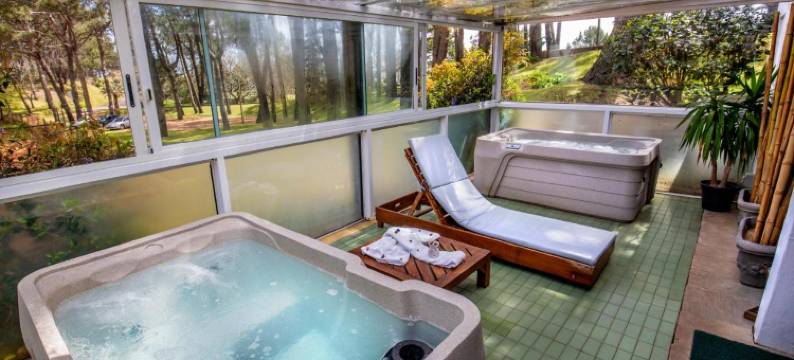 艺术湖高尔夫球度假村酒店(Hotel del Lago Golf & Art Resort)图片