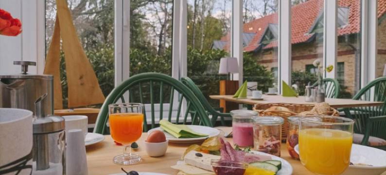 桑迪斯彻维兹施洛斯臣酒店(Hotel Schlösschen Sundische Wiese Zingst)图片