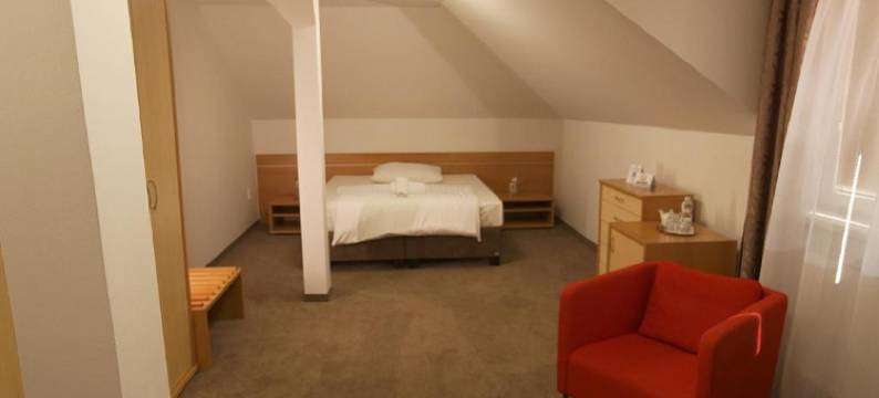 诺维卡斯蒂利亚酒店(Hotel Novy Kastiel - Self Check-IN)图片