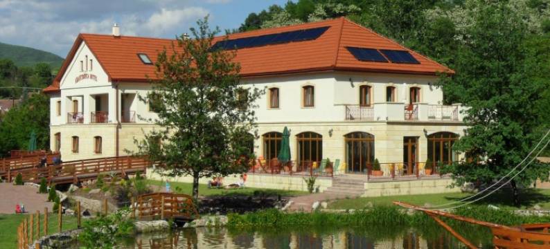 金矿酒店(Aranybanya Hotel)图片