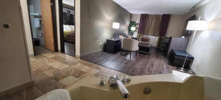 斯特灵海茨-底特律地区速8酒店(Super 8 by Wyndham Sterling Heights/Detroit Area)图片