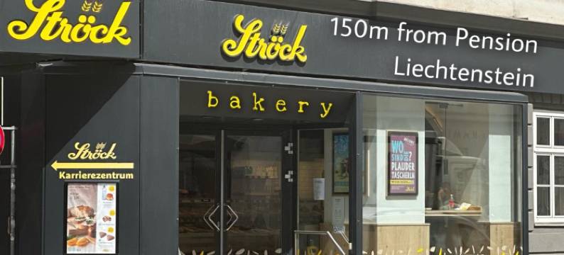 列支敦士登旅馆(Pension Liechtenstein)图片