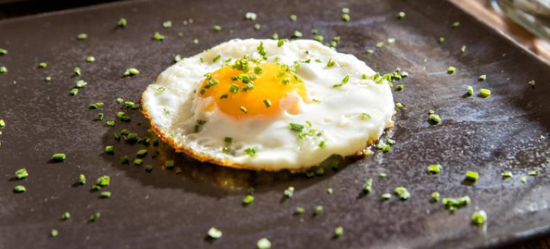 弗莱拉乌恩酒店(Hotel der Freiraum)图片