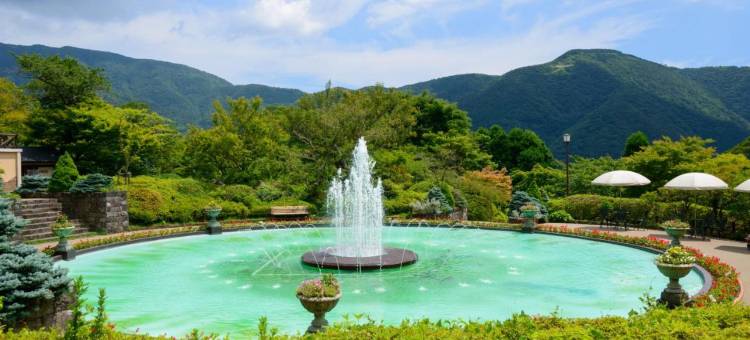 箱根约特罗庵附加旅馆(Yutorelo-an Annex)图片