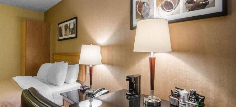 斯威夫特卡伦舒适酒店(Comfort Inn)图片