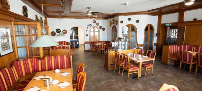 欧罗帕肯赫酒店(Europa Kehl Hotel)图片