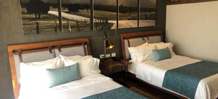 圣迭戈伽马林康酒店(Gamma Monterrey Rincon de Santiago)图片