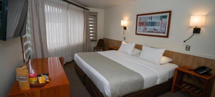 多恩路易斯蒙特港酒店(Hotel Don Luis Puerto Montt)图片