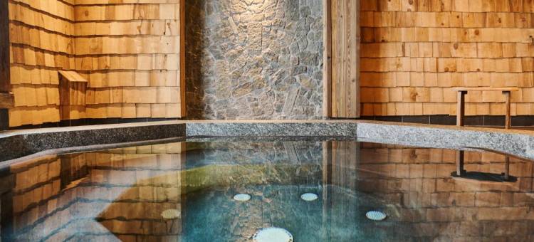 布维尔庄园套房酒店(Les Suites – Maison Bouvier)图片