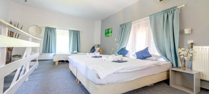 赫尔采格乌德瓦哈兹波罗斯洛酒店(Herczeg Udvarház Poroszló)图片