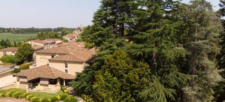 德拉图尔庄园酒店及餐厅(Hôtel Restaurant du Château de la Tour)图片