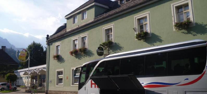 艾森诺色霍夫酒店(Eisenerzer Hof)图片