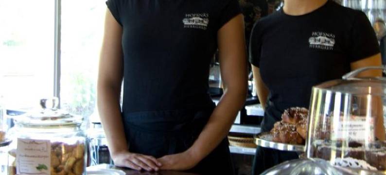 Hofsnäs Lilla Sjöstuga图片