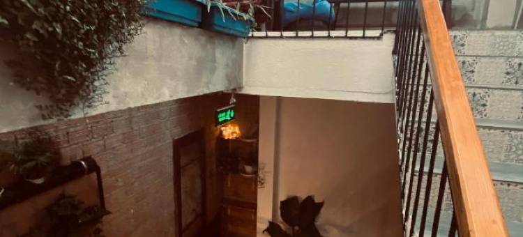 约翰咖啡和啤酒旅馆(Hostel-John Cafe and Beer)图片