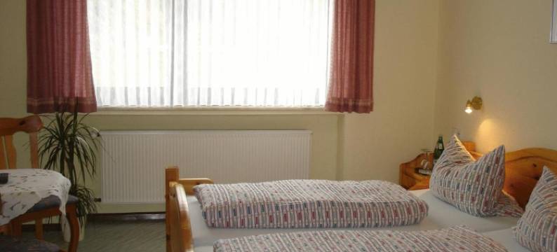 霍恩劳尔宾馆(Gasthof Zum Hohen Lohr)图片