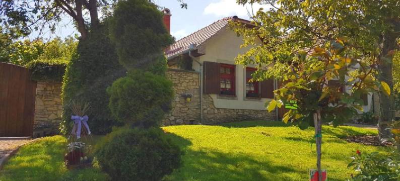 Kuti Vendeghaz图片