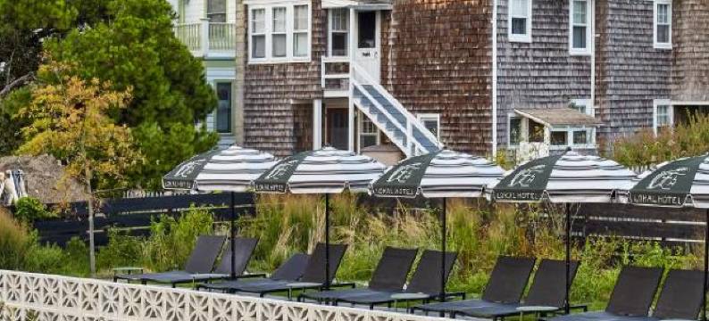洛卡尔五月岬郡酒店(Lokal Hotel Cape May)图片