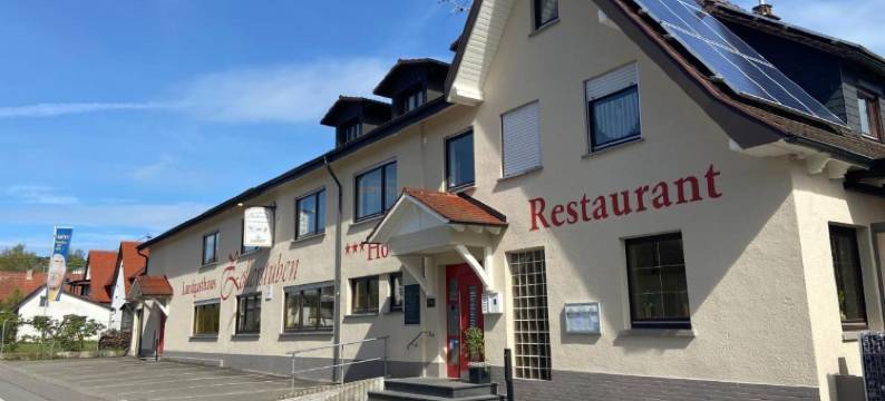 佐拉斯度班酒店(Landgasthaus Zollerstuben)图片