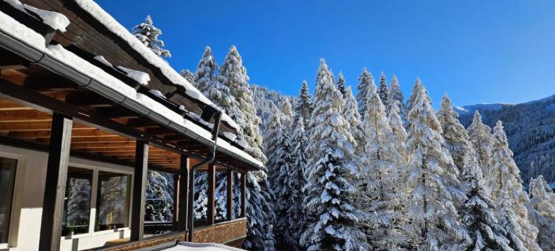 诺卡尔姆酒店(Kinder- Und Familienhotel Nockalm)图片