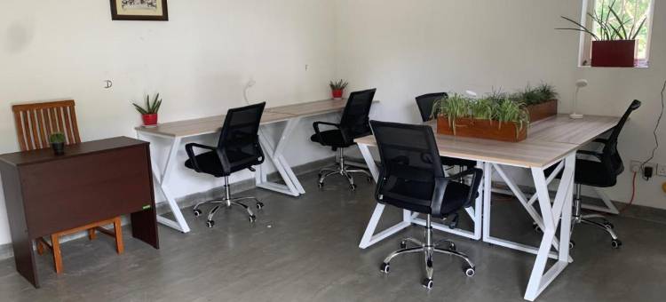 米瑞莎旅舍(The Hostel Mirissa)图片