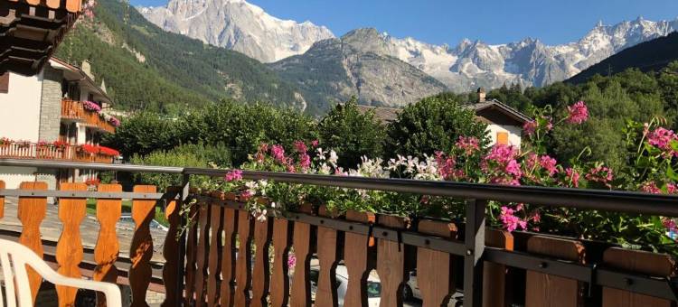 埃德维斯酒店(Hotel Edelweiss)图片