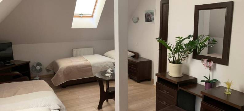 GOŚCINIEC Nad NARWIĄ - Airport Modlin图片