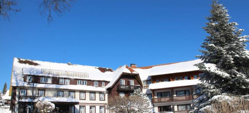 霍赫菲斯特酒店(Hotel Hochfirst)图片