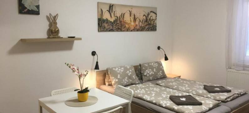 阿米尔卡宾馆(Penzion Amálka)图片