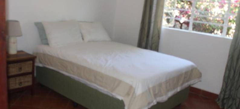 蝴蝶公寓(Butterfly Apartments)图片