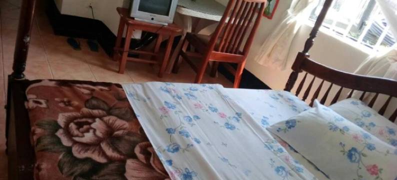 瑞娜阿卡莎酒店(Rena Akasha Establishments)图片