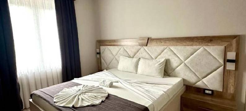 波里亚佩杰酒店(Hotel Borea)图片