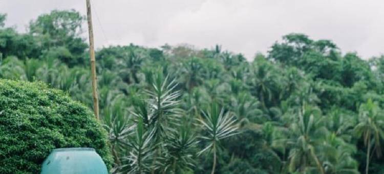 Samkara餐厅及花园度假村(Samkara Restaurant and Garden Resort)图片