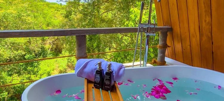 威尔帕图野生动物园度假村(Wilpattu Safari Resort)图片