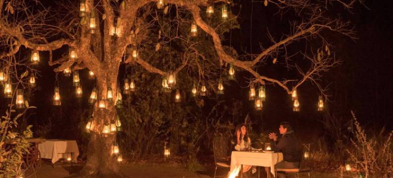 Baghvan Pench National Park - A Taj Safari Lodge图片