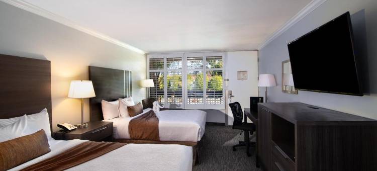 棕榈树花园酒店(Palm Garden Hotel)图片