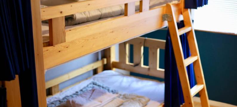 绿木青年旅馆(Greenwood Hostel)图片