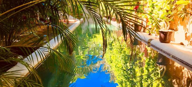 鲁萨庄园酒店(Hacienda la Rusa)图片