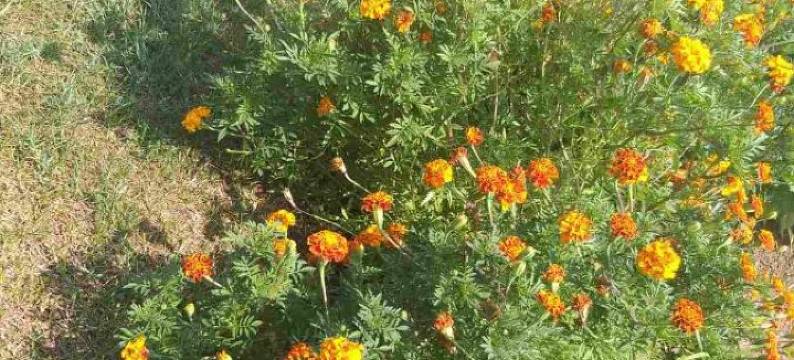 Hostel Vera - Airport Podgorica图片