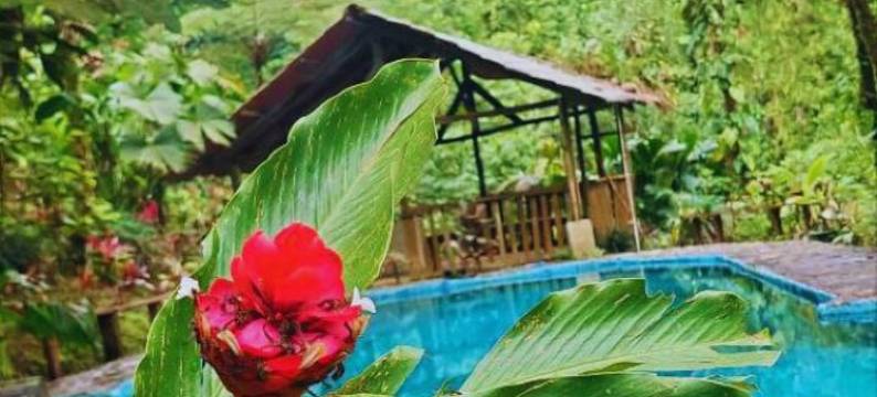 月之公主生态小屋旅馆(Princesa de la Luna Ecolodge)图片