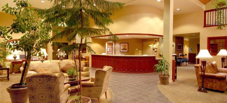 天堂村森林套房度假酒店(Forest Suites Resort at the Heavenly Village)图片