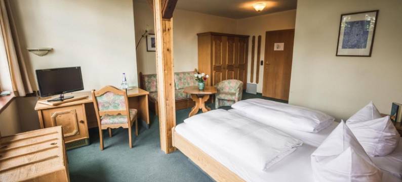 弗里德里希斯霍厄山酒店(Berghotel Friedrichshöhe - Sauna, Pool & Natur)图片