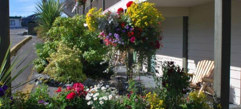 环太平洋汽车旅馆(Pacific Rim Motel)图片