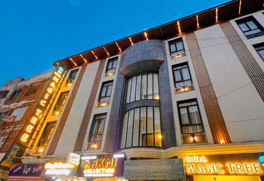 Hotel Magic Tree Karol Bagh Metro Station New DelhiHotel Overview
