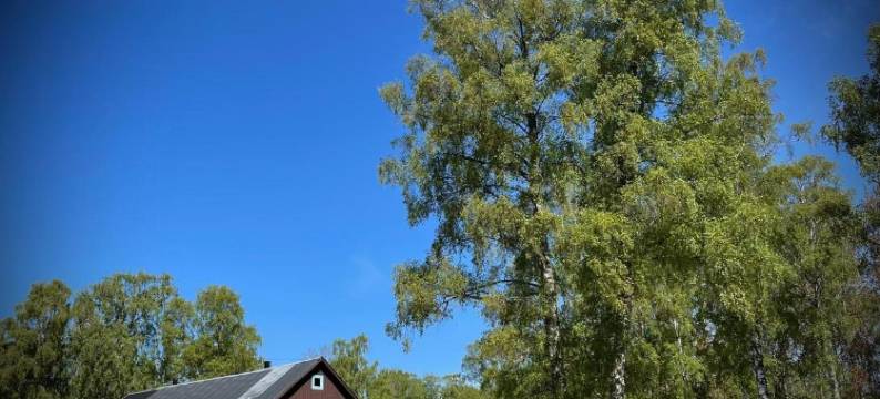 Gåsen Out B&B图片