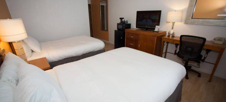 艾莱恩斯伊克诺旅馆(Econo Lodge Alliance)图片