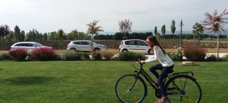 伊尔博德莱迪弗朗切斯科公寓(Il Podere di Francesco)图片