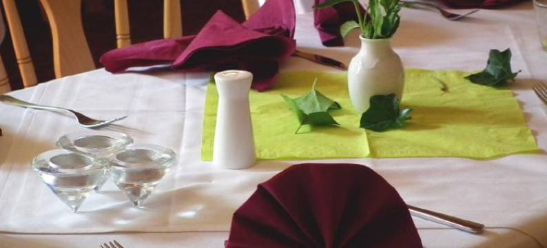 祖尔林德客栈酒店(Gasthaus & Hotel Zur Linde)图片