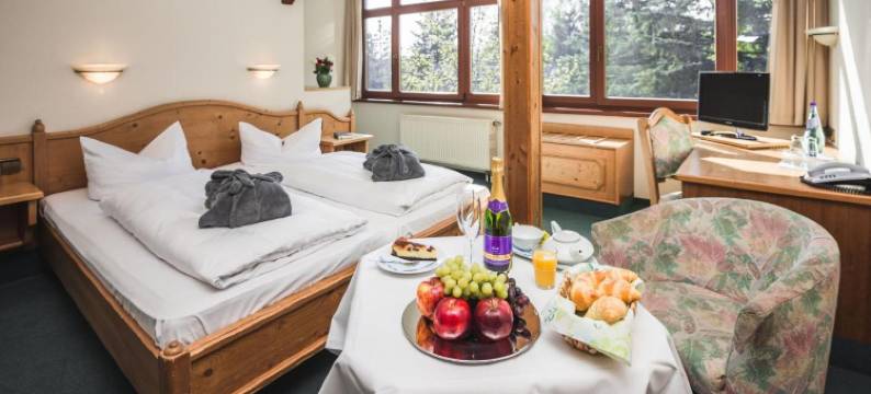 弗里德里希斯霍厄山酒店(Berghotel Friedrichshöhe - Sauna, Pool & Natur)图片