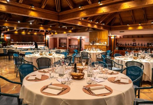 Hotel Diana Hotel Overview